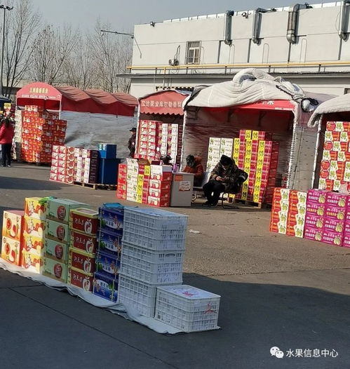 做水果生意,必須要知道的5大水果一級批發市場